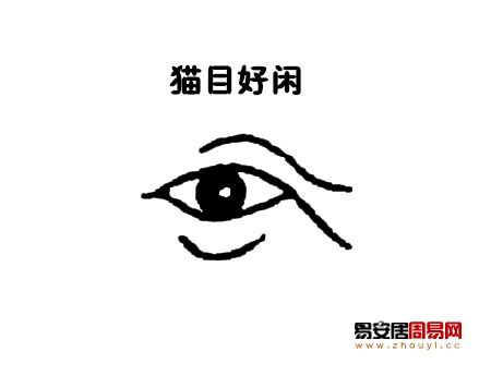 貓眼 面相|【貓眼面相】眼型變化富貴現：揭秘貓眼面相財運與人生